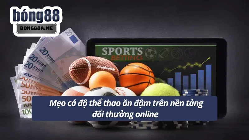 Bật mí kinh nghiệm cược thể thao không thua cho thành viên 