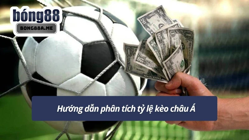 Phân tích dữ liệu giúp nâng cao hiệu quả cược