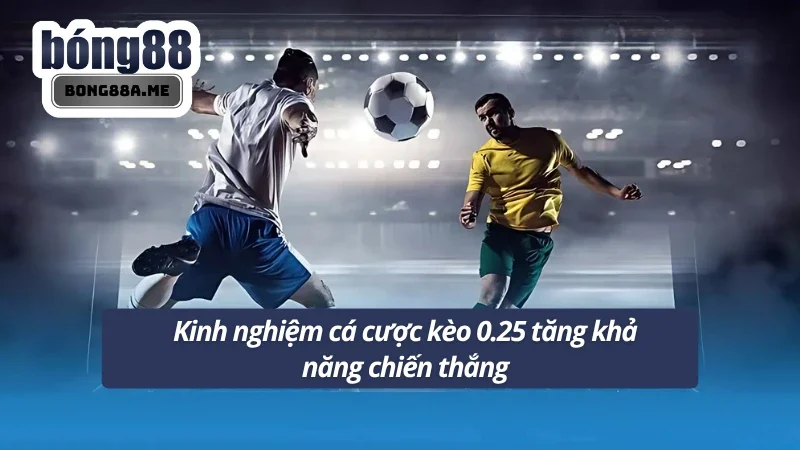 Tham khảo mẹo đánh kèo 0.25 trong cách đặt cược
